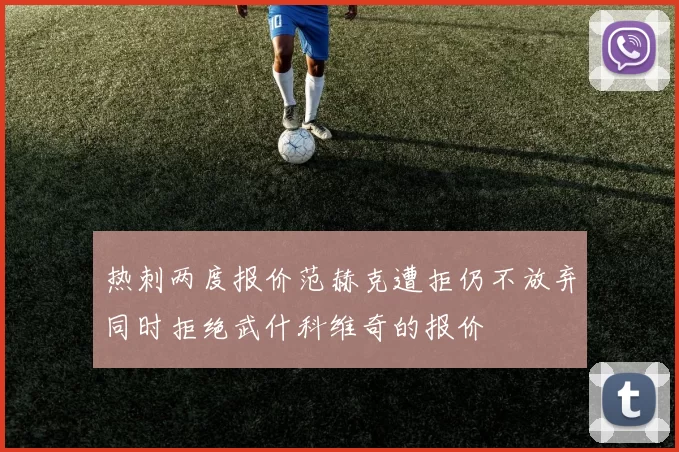 热刺两度报价范赫克遭拒仍不放弃同时拒绝武什科维奇的报价