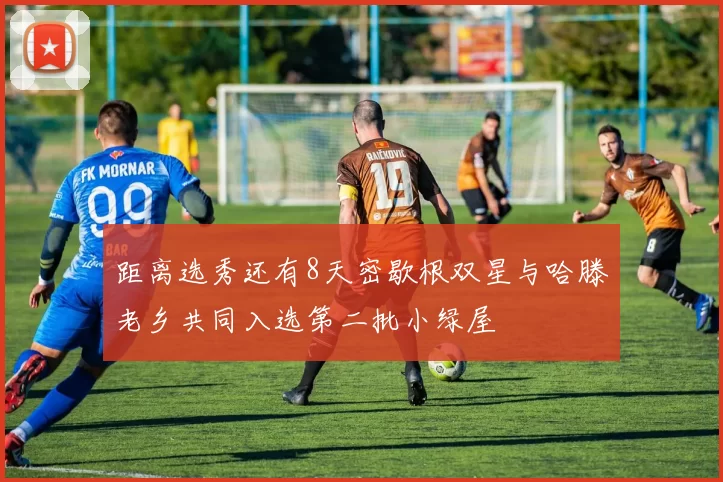 距离选秀还有8天密歇根双星与哈滕老乡共同入选第二批小绿屋