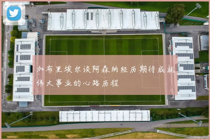 加布里埃尔谈阿森纳经历期待成就伟大事业的心路历程