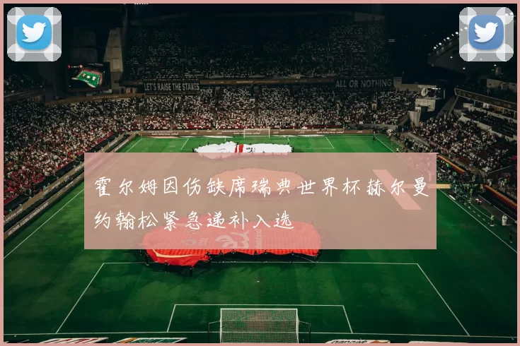 霍尔姆因伤缺席瑞典世界杯赫尔曼约翰松紧急递补入选