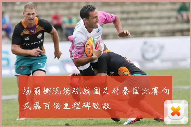 杨莉娜现场观战国足对泰国比赛向武磊百场里程碑致敬